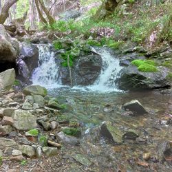 ＧＷ終盤の渓流で苦戦 ～長良川水系～